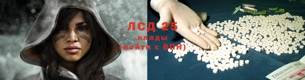 сатива Навашино